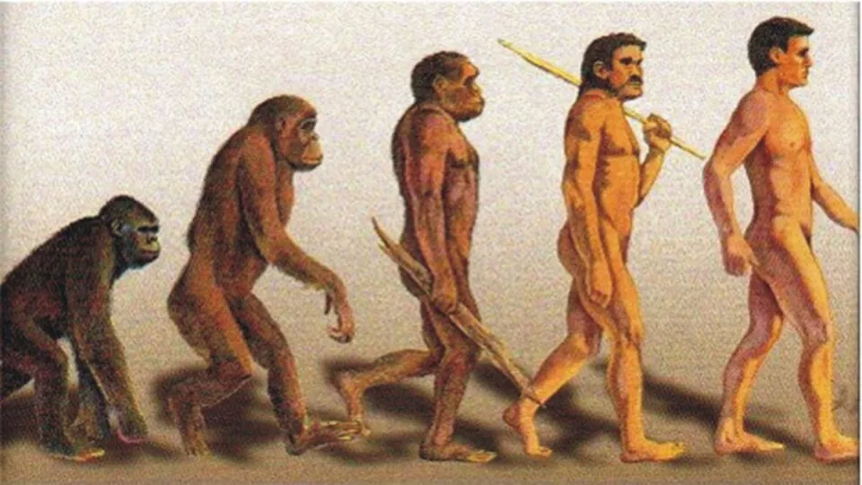 homo sapiens